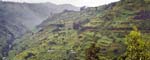 Birira Valley