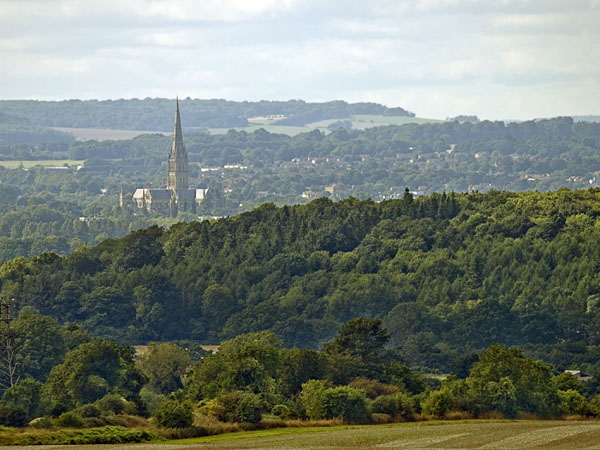 Salisbury,Pepperbox Hill,View