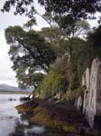 Near Dunboy Castle
