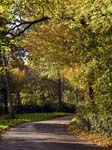 Abbots Street, Pamphill