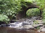 A Bridge near Falling Foss