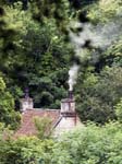 Midge Hall Through the Trees