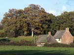 Cottages, Cowgrove