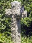A Blackbird on a Cross
