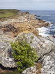 Porth Minick