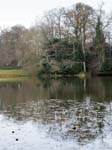 The Lake