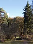 Bolderwood