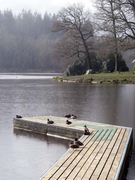 Jetty,Shearwater,Longleat,Lake,Shear Water
