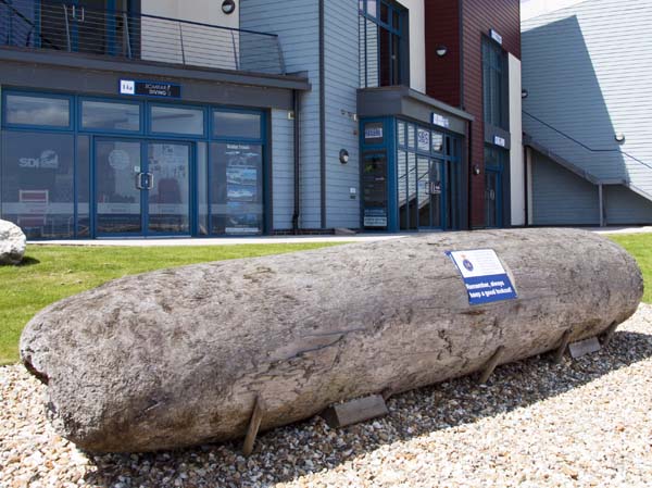 Shipping Hazard,Castletown,Portland,Log