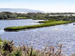 The Needles from Keyhaven Lymington Nature Reserve
