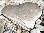 A Heart of Stone Osmington Mills