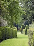 The Philadelphus Walk