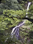 The Mynach Falls