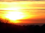 From The Gallops