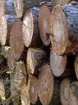 Logs