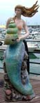 Mermaid  Brighton Marina