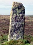 One of the Nine Maidens