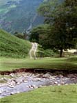 Dovedale