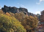 Black Rocks