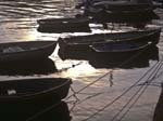 Boats, Fishguard (Abergwuan)